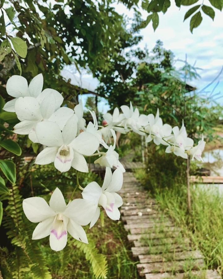 Rang Robin Farmstay For 4 With Pool Ban Wang Muang Eksteriør billede